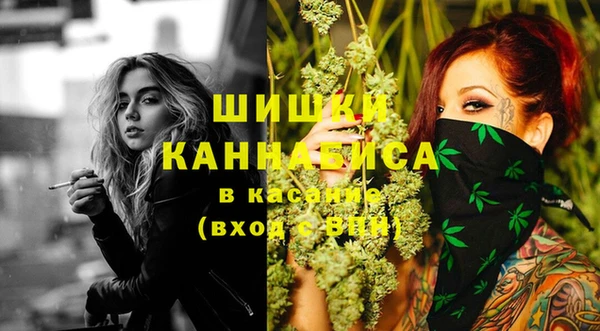 дмт Надым