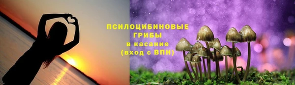 гидропоника Наволоки