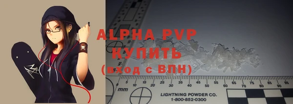 прущие грибы Алагир
