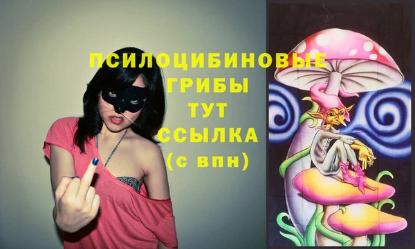 гидропоника Наволоки