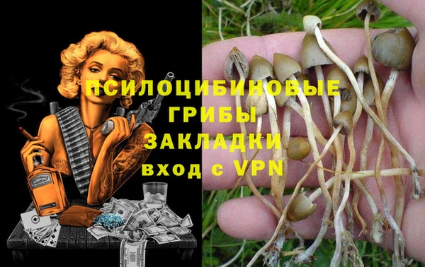 ешки Навашино