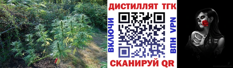 кракен зеркало  Нытва  Дистиллят ТГК гашишное масло 