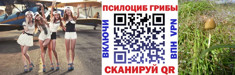 Галлюциногенные грибы GOLDEN TEACHER  Нытва 