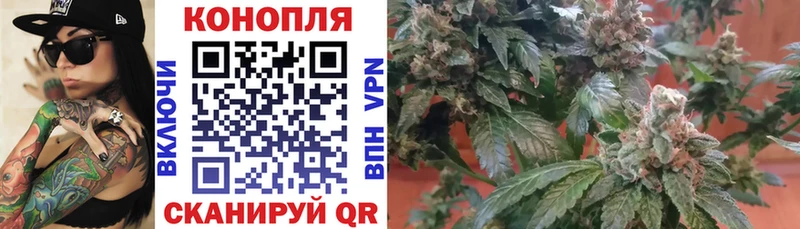 где купить наркоту  Нытва  Шишки марихуана MAZAR 